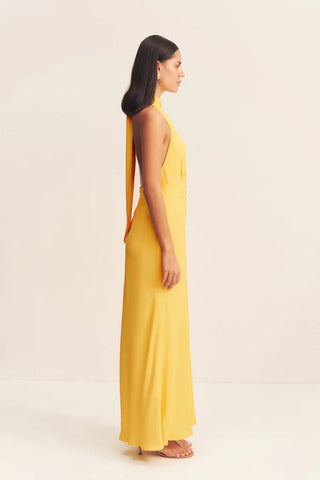 SHONA JOY | PIERCE HALTER NECK MAXI DRESS