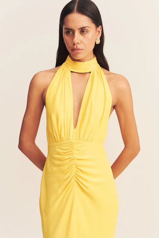 SHONA JOY | PIERCE HALTER NECK MAXI DRESS